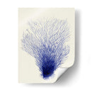 Corales Azules 2 D - Fab Funky | Cuadro decorativo de Canvas Lab