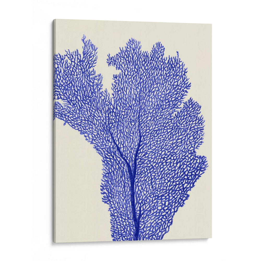 Corales Azules 2 E - Fab Funky | Cuadro decorativo de Canvas Lab