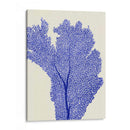 Corales Azules 2 E - Fab Funky | Cuadro decorativo de Canvas Lab