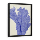 Corales Azules 2 E - Fab Funky | Cuadro decorativo de Canvas Lab