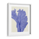 Corales Azules 2 E - Fab Funky | Cuadro decorativo de Canvas Lab