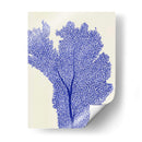 Corales Azules 2 E - Fab Funky | Cuadro decorativo de Canvas Lab