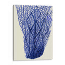 Corales Azules 2 F - Fab Funky | Cuadro decorativo de Canvas Lab