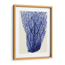 Corales Azules 2 F - Fab Funky | Cuadro decorativo de Canvas Lab