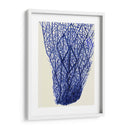 Corales Azules 2 F - Fab Funky | Cuadro decorativo de Canvas Lab