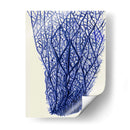 Corales Azules 2 F - Fab Funky | Cuadro decorativo de Canvas Lab