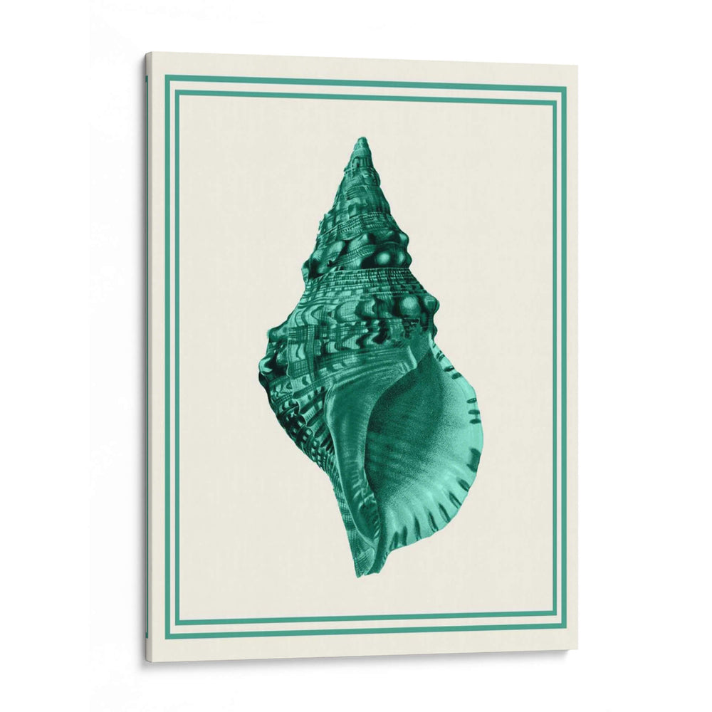 Verde Náutico Mixto En Crema A - Fab Funky | Cuadro decorativo de Canvas Lab