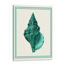 Verde Náutico Mixto En Crema A - Fab Funky | Cuadro decorativo de Canvas Lab