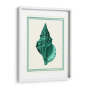 Verde Náutico Mixto En Crema A - Fab Funky | Cuadro decorativo de Canvas Lab