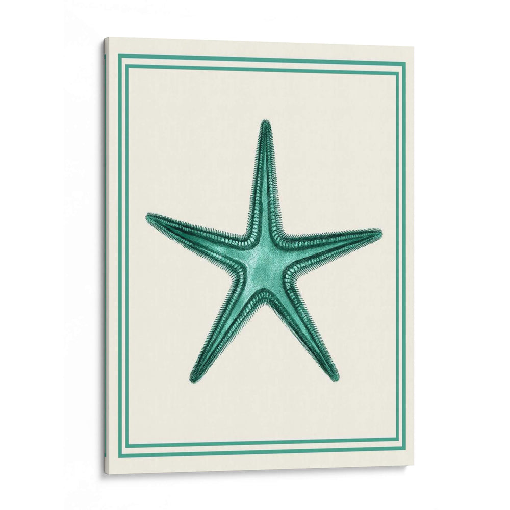 Verde Náutico Mixto En Crema F - Fab Funky | Cuadro decorativo de Canvas Lab