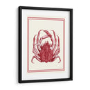 Coral Náutico Mixto En Crema F - Fab Funky | Cuadro decorativo de Canvas Lab