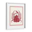 Coral Náutico Mixto En Crema F - Fab Funky | Cuadro decorativo de Canvas Lab