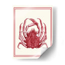 Coral Náutico Mixto En Crema F - Fab Funky | Cuadro decorativo de Canvas Lab