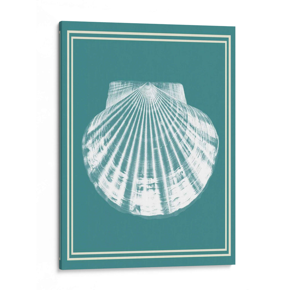 Blanco Náutico Mixto En Teal B - Fab Funky | Cuadro decorativo de Canvas Lab