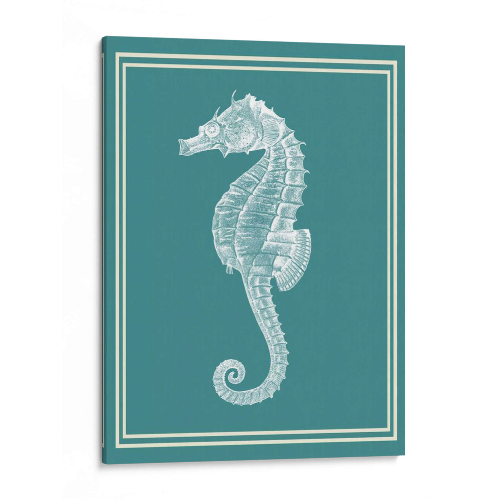 Blanco Náutico Mixto En Teal D - Fab Funky | Cuadro decorativo de Canvas Lab