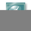 Blanco Náutico Mixto En Teal E - Fab Funky | Cuadro decorativo de Canvas Lab