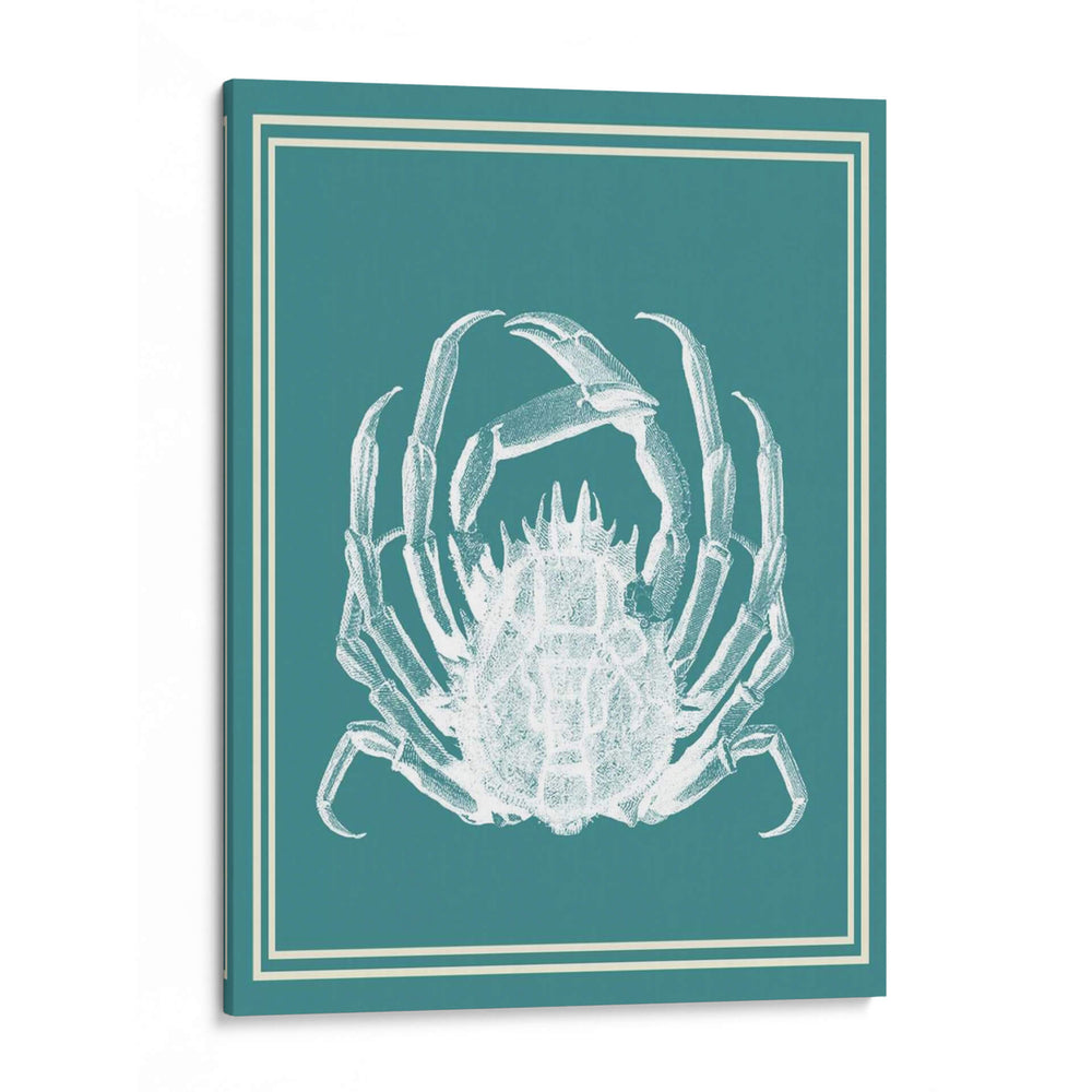 Blanco Náutico Mixto En Teal F - Fab Funky | Cuadro decorativo de Canvas Lab