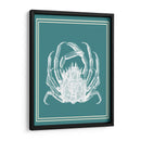 Blanco Náutico Mixto En Teal F - Fab Funky | Cuadro decorativo de Canvas Lab