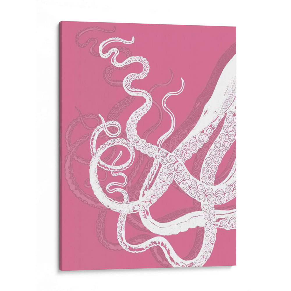 Octopus Blanco En Rosa B - Fab Funky | Cuadro decorativo de Canvas Lab