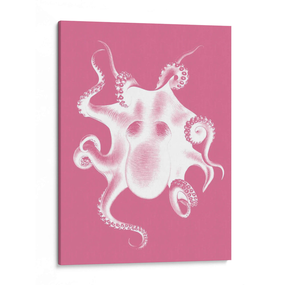Octopus Blanco En Rosa C - Fab Funky | Cuadro decorativo de Canvas Lab