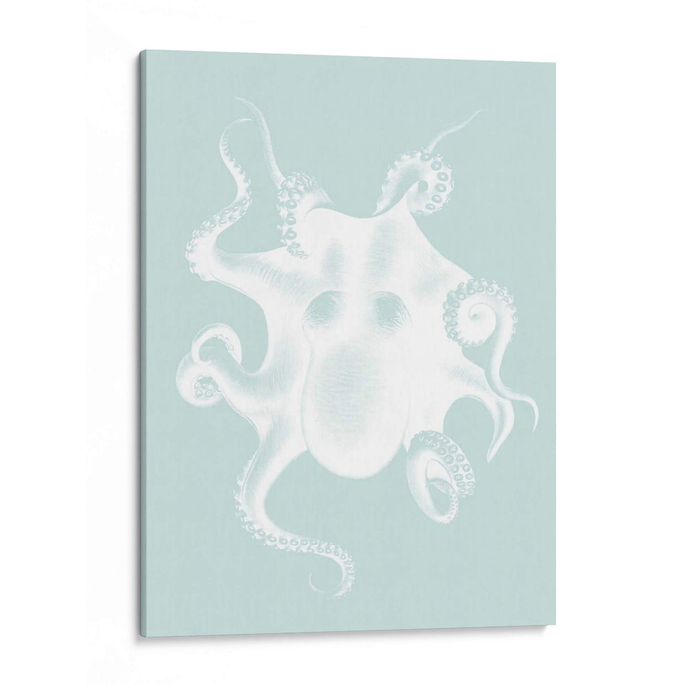Pulpo Blanco En Seafoam D - Fab Funky | Cuadro decorativo de Canvas Lab