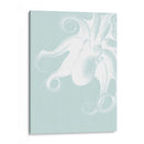 Octopus Blanco En Seafoam F - Fab Funky | Cuadro decorativo de Canvas Lab