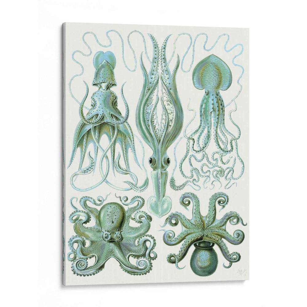 Pulpo Turquesa Y Calamar B - Fab Funky | Cuadro decorativo de Canvas Lab