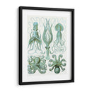 Pulpo Turquesa Y Calamar B - Fab Funky | Cuadro decorativo de Canvas Lab