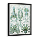 Pulpo Turquesa Y Calamar B - Fab Funky | Cuadro decorativo de Canvas Lab