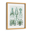 Pulpo Turquesa Y Calamar B - Fab Funky | Cuadro decorativo de Canvas Lab