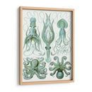 Pulpo Turquesa Y Calamar B - Fab Funky | Cuadro decorativo de Canvas Lab