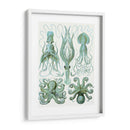 Pulpo Turquesa Y Calamar B - Fab Funky | Cuadro decorativo de Canvas Lab