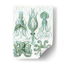 Pulpo Turquesa Y Calamar B - Fab Funky | Cuadro decorativo de Canvas Lab