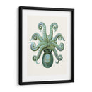 Octopos Turquesa Y Calamar C - Fab Funky | Cuadro decorativo de Canvas Lab