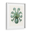 Octopos Turquesa Y Calamar C - Fab Funky | Cuadro decorativo de Canvas Lab