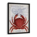 Cangrejo De Prohibición De Cangrejo En Blanco - Fab Funky | Cuadro decorativo de Canvas Lab