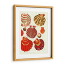 Conchas De Almejas Rojas Y Crema - Fab Funky | Cuadro decorativo de Canvas Lab