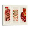 Cáscaras Rojas Y Cremas En 3 Paneles. - Fab Funky | Cuadro decorativo de Canvas Lab