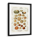 Conchas En La Guión Vintage - Fab Funky | Cuadro decorativo de Canvas Lab