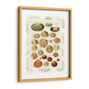 Conchas En La Guión Vintage - Fab Funky | Cuadro decorativo de Canvas Lab