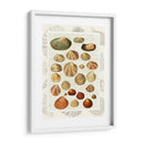 Conchas En La Guión Vintage - Fab Funky | Cuadro decorativo de Canvas Lab