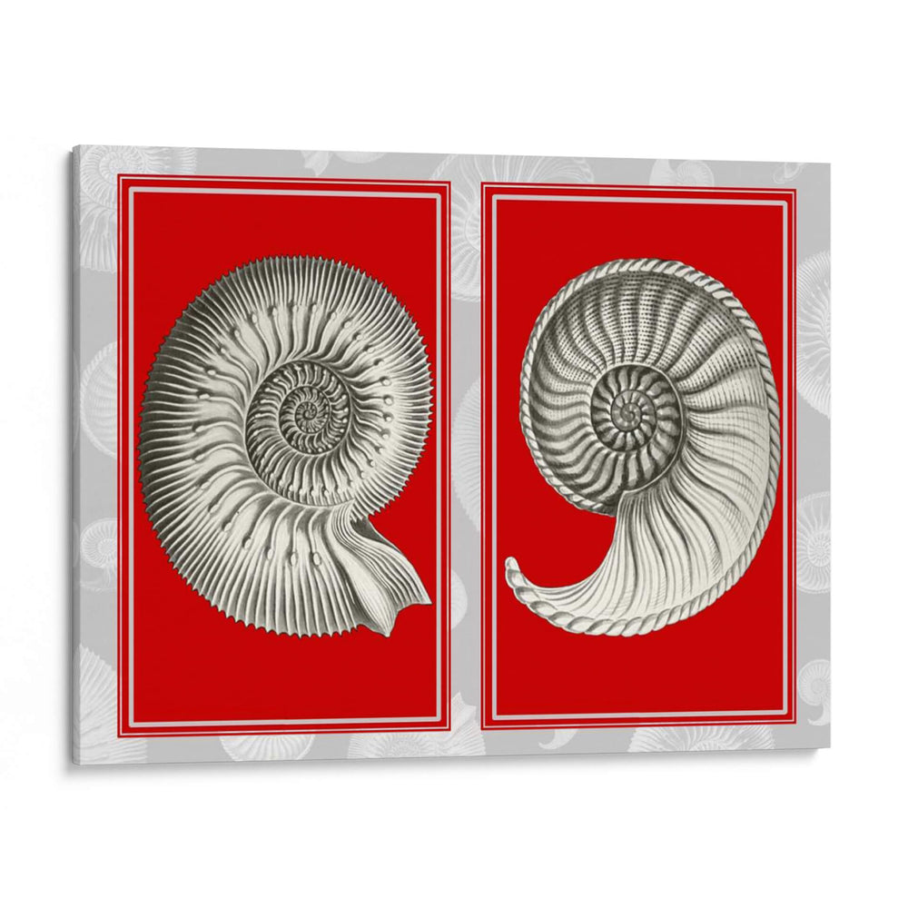 Shells Nautilus En Rojo - Fab Funky | Cuadro decorativo de Canvas Lab