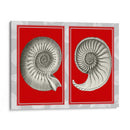 Shells Nautilus En Rojo - Fab Funky | Cuadro decorativo de Canvas Lab