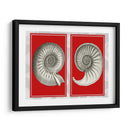 Shells Nautilus En Rojo - Fab Funky | Cuadro decorativo de Canvas Lab