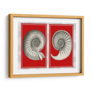 Shells Nautilus En Rojo - Fab Funky | Cuadro decorativo de Canvas Lab