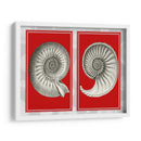 Shells Nautilus En Rojo - Fab Funky | Cuadro decorativo de Canvas Lab