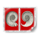 Shells Nautilus En Rojo - Fab Funky | Cuadro decorativo de Canvas Lab