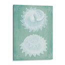 Conchas Blancas En Turquesa - Fab Funky | Cuadro decorativo de Canvas Lab