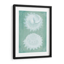 Conchas Blancas En Turquesa - Fab Funky | Cuadro decorativo de Canvas Lab