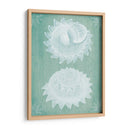 Conchas Blancas En Turquesa - Fab Funky | Cuadro decorativo de Canvas Lab